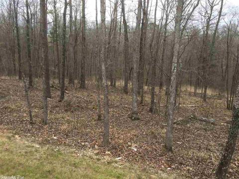 6308 King Stone Dr, Benton, AR 72019 photo 39