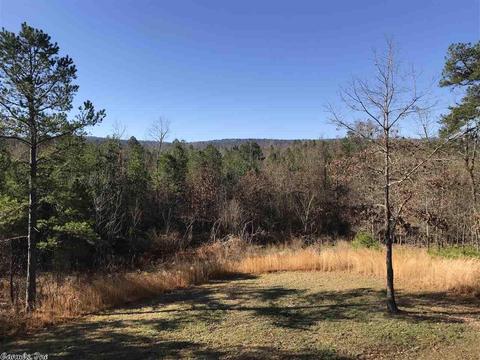 35 Wildlife Ln, Mount Ida, AR 71957 photo 8