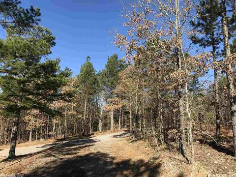 35 Wildlife Ln, Mount Ida, AR 71957 photo 6