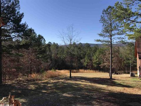 35 Wildlife Ln, Mount Ida, AR 71957 photo 4