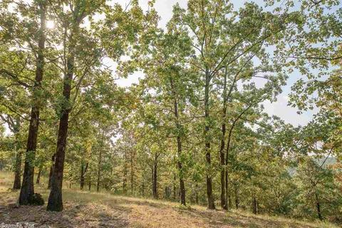 136 Mountain View Rd, De Queen, AR 71832 photo 34