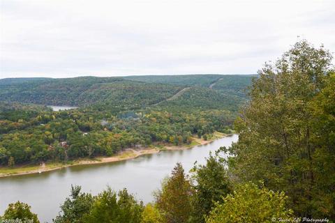555 Watersedge Dr, Edgemont, AR 72044 photo 27