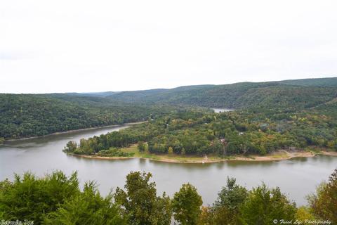 555 Watersedge Dr, Edgemont, AR 72044 photo 28