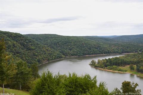 555 Watersedge Dr, Edgemont, AR 72044 photo 2