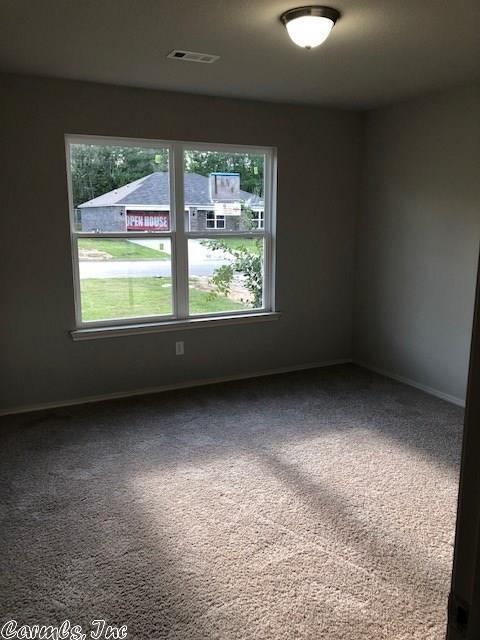 6104 Saddle Hill Dr, Alexander, AR 72002 photo 7