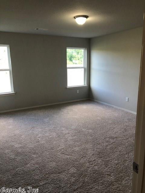 6104 Saddle Hill Dr, Alexander, AR 72002 photo 20