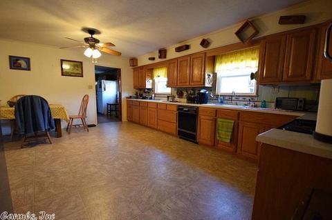 320 Polk Road 121, Mena, AR 71953 photo 7