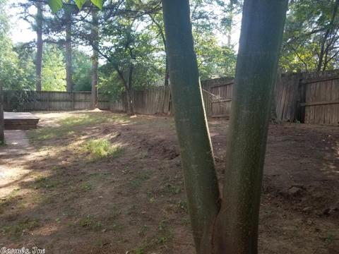 602 Newcomb Dr, Benton, AR 72015 photo 19