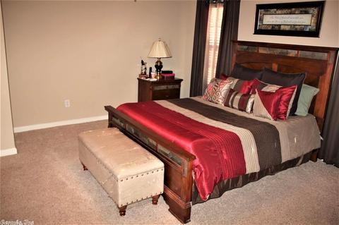 8 Shady Oak Ln, Alexander, AR 72002 photo 13
