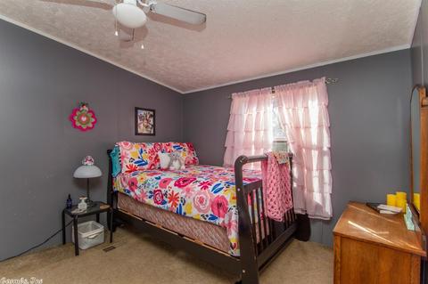 203 S Stagecoach, Cabot, AR 72023 photo 4