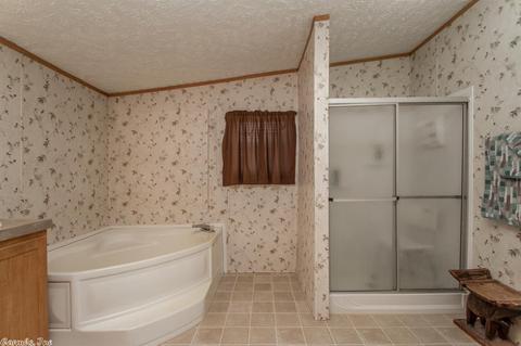 203 S Stagecoach, Cabot, AR 72023 photo 28