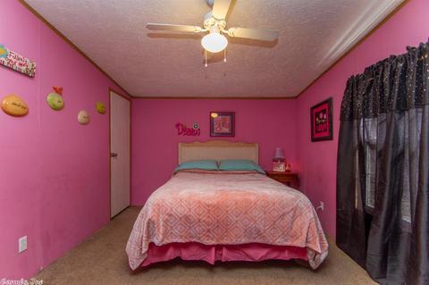 203 S Stagecoach, Cabot, AR 72023 photo 7