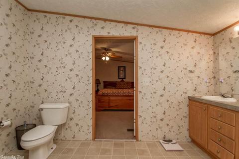 203 S Stagecoach, Cabot, AR 72023 photo 31