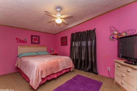 203 S Stagecoach, Cabot, AR 72023 photo 6