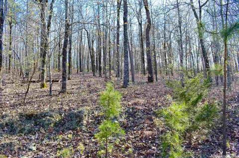 155 W Earlene Cv, Cabot, AR 72023 photo 6