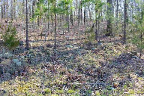 155 W Earlene Cv, Cabot, AR 72023 photo 8