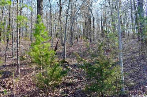 155 W Earlene Cv, Cabot, AR 72023 photo 9