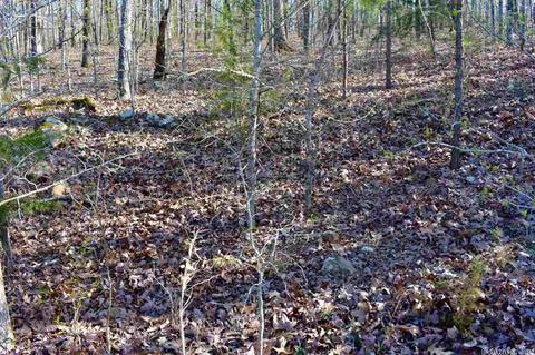 155 W Earlene Cv, Cabot, AR 72023 photo 7