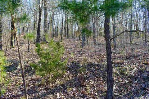 155 W Earlene Cv, Cabot, AR 72023 photo 5