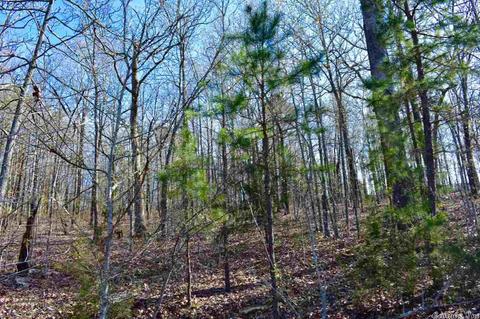 155 W Earlene Cv, Cabot, AR 72023 photo 4