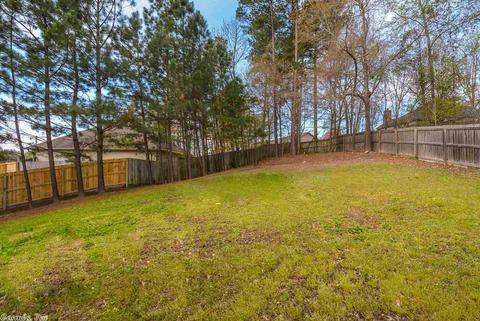 2935 Falcon Cir, Benton, AR 72015 photo 30