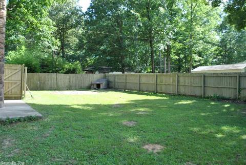 12320 Mandy Ln, Alexander, AR 72002 photo 12
