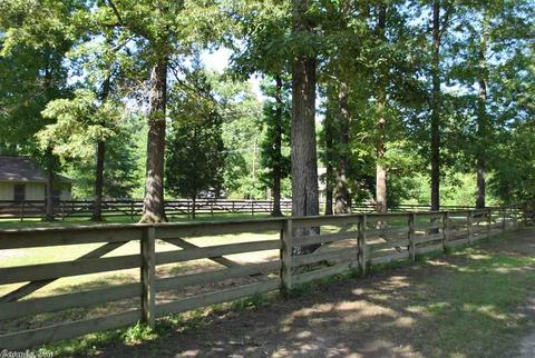 12320 Mandy Ln, Alexander, AR 72002 photo 2