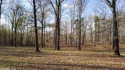 564 Goff Rd, Quitman, AR 72131 photo 23