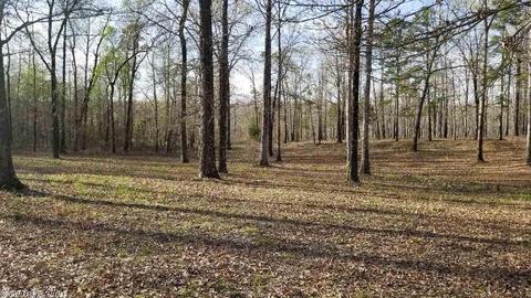 564 Goff Rd, Quitman, AR 72131 photo 24