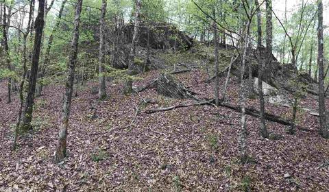 122 Two Bear Ln, Mena, AR 71953 photo 25