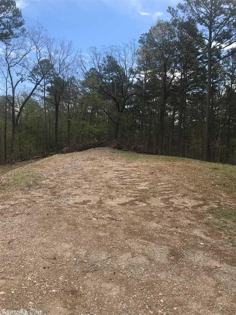 122 Two Bear Ln, Mena, AR 71953 photo 19