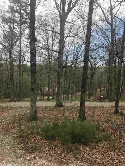 122 Two Bear Ln, Mena, AR 71953 photo 18