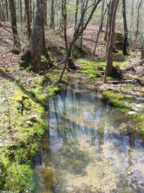 122 Two Bear Ln, Mena, AR 71953 photo 23