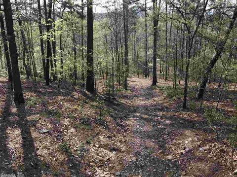 122 Two Bear Ln, Mena, AR 71953 photo 26