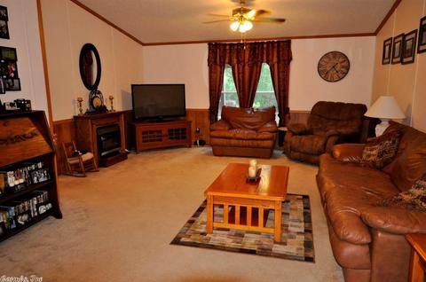 589 River Rd, Hardy, AR 72542 photo 5