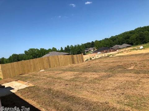 6056 Saddle Hill Dr, Alexander, AR 72002 photo 21