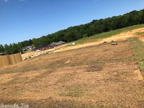 6056 Saddle Hill Dr, Alexander, AR 72002 photo 20