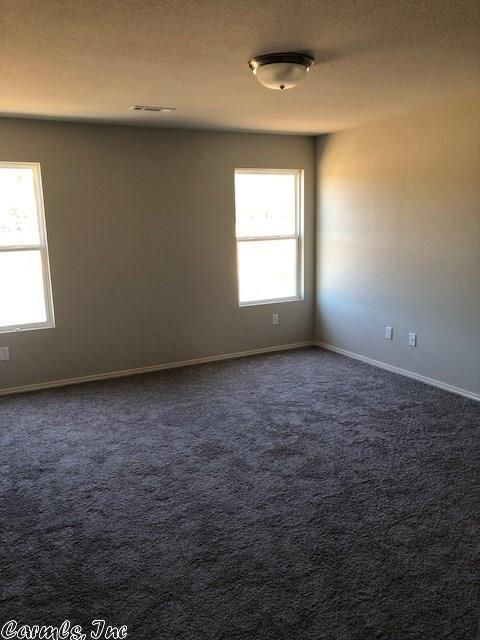 6056 Saddle Hill Dr, Alexander, AR 72002 photo 13