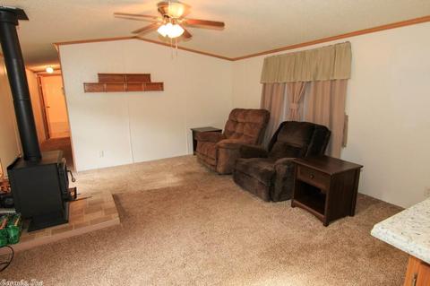 123 Corinth Loop, Ash Flat, AR 72513 photo 20