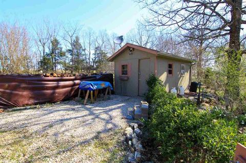 123 Corinth Loop, Ash Flat, AR 72513 photo 6