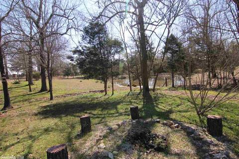 123 Corinth Loop, Ash Flat, AR 72513 photo 7