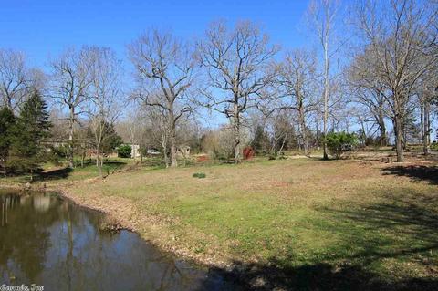 123 Corinth Loop, Ash Flat, AR 72513 photo 16