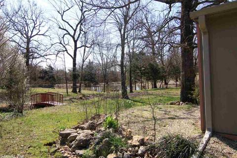 123 Corinth Loop, Ash Flat, AR 72513 photo 26
