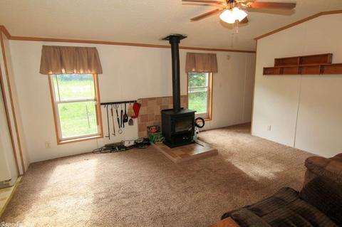 123 Corinth Loop, Ash Flat, AR 72513 photo 21