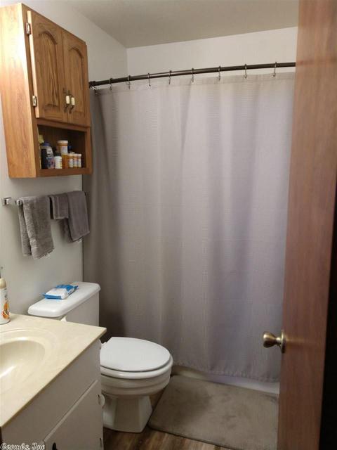 1325 Diamond Blf, Quitman, AR 72131 photo 14
