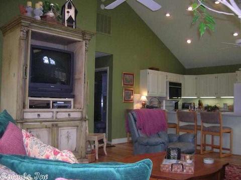 710 Danube Dr, Drasco, AR 72530 photo 5