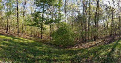 3160 Diamond Hill Dr, Alexander, AR 72002 photo 9