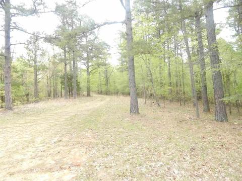 803 Gr 402 Rd, Lafe, AR 72436 photo 14
