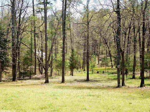 488 Fairgrounds Rd, Mount Ida, AR 71957 photo 40