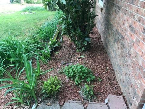 5837 Circle Dr, Benton, AR 72019 photo 4